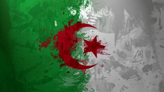 阿尔及利亚国旗画在颜色