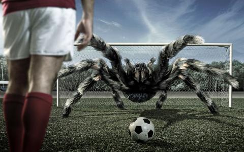 踢足球与蜘蛛
