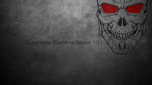 101型Syberdine系统