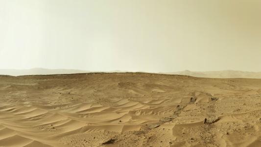 火星表面的照相漫游者拍摄