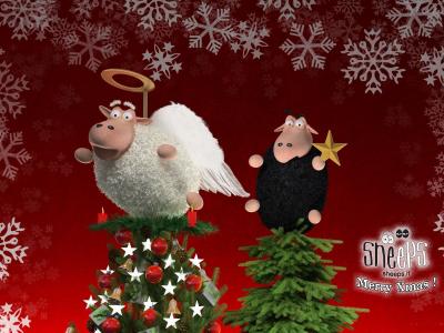 两只羔羊在圣诞节