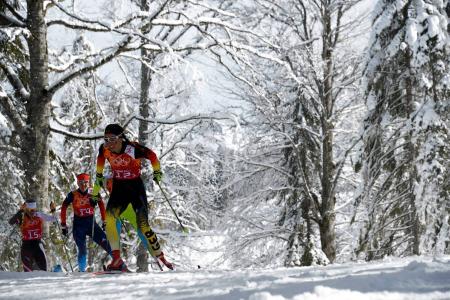 在索契冬奥会滑雪比赛中，斯蒂芬妮·伯勒的滑雪比赛中获得铜牌