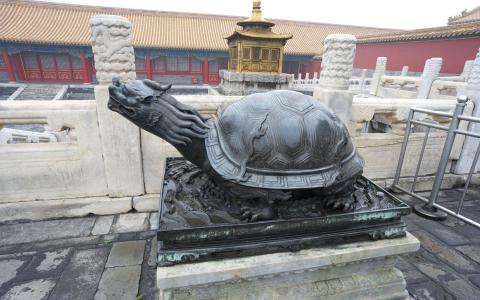 乌龟的纪念碑