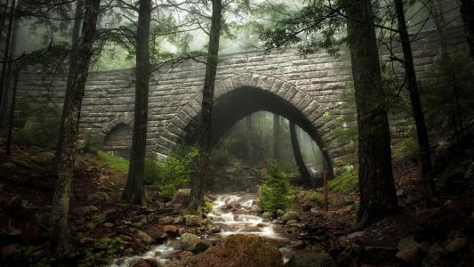 在一座石桥下在森林里流