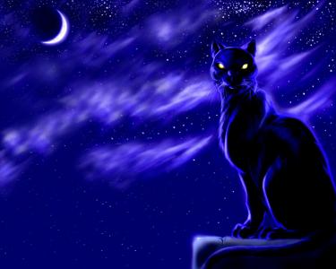 黑猫月夜