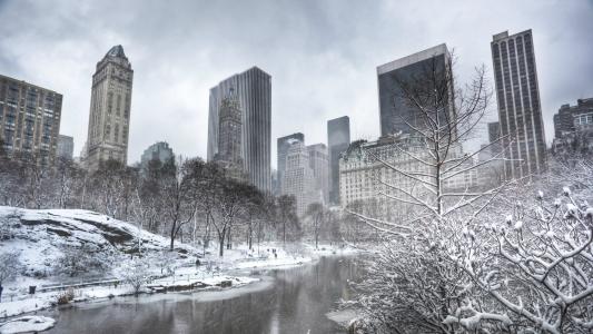 纽约中央公园的树木覆盖着白霜