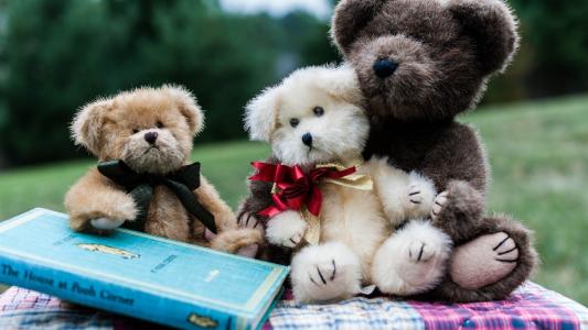 玩具熊与一本书的家庭