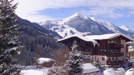 酒店在萨尔巴赫辛特格兰滑雪胜地，奥地利