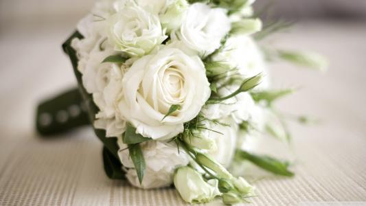 美丽的白玫瑰作为3月8日的礼物给妇女