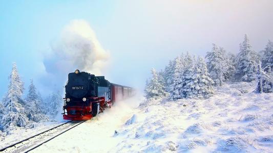 蒸汽机车在多雪的森林里