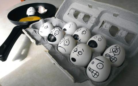 鸡蛋惊恐地等待着他们的命运