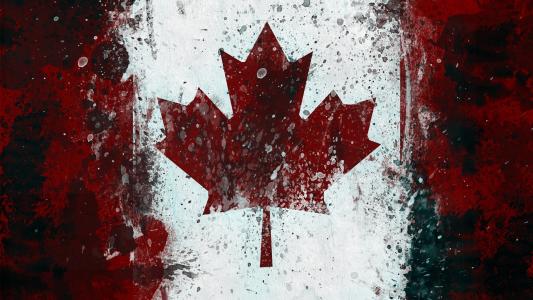 加拿大国旗的形象