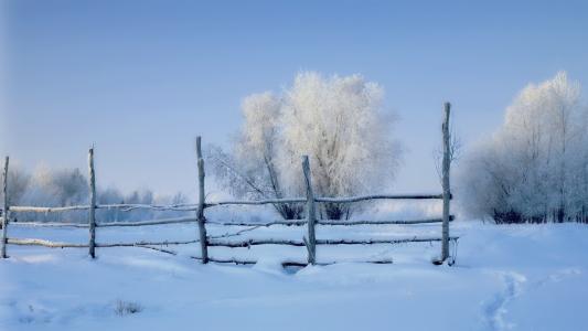 冰雪覆盖的篱笆