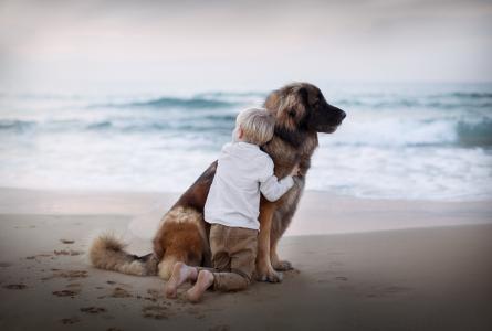 小男孩在沙滩上拥抱大狗