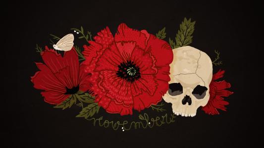 骨架，黑色背景，蝴蝶，罂粟，头骨，十一月