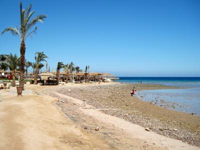 在埃及赫尔格达度假的海滩上的暑假
