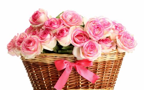 粉色玫瑰花束在白色背景上的篮子里