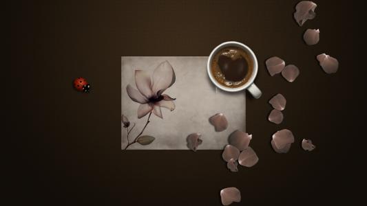 咖啡，纸，瓢虫，花瓣