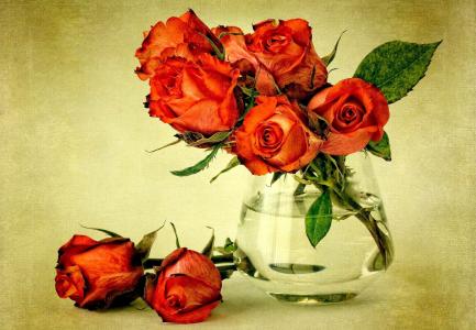 玫瑰，花瓶，静物的花束
