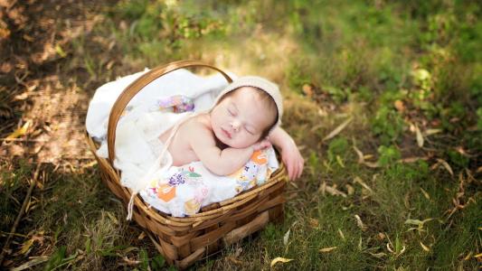 一个孩子在草地上的篮子里睡觉