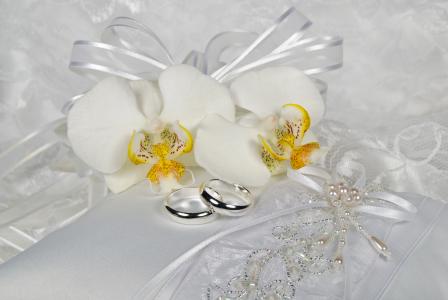 两个结婚戒指，细腻的白色兰花花