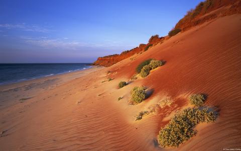 在澳大利亚的海洋上的沙子