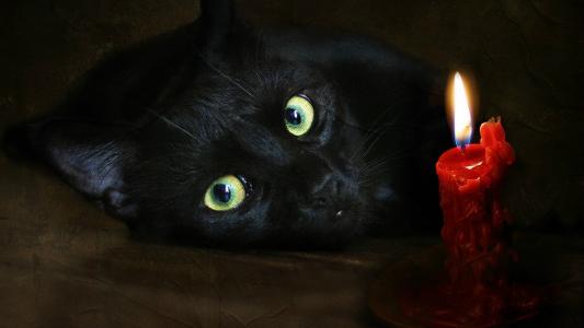 黑猫和一支蜡烛