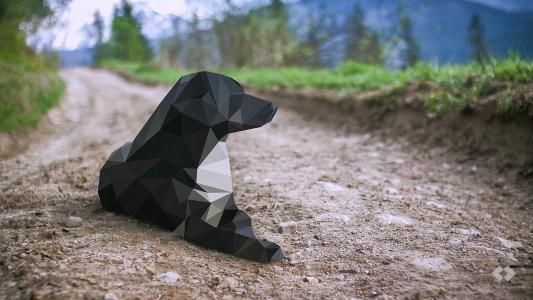 立方体黑狗