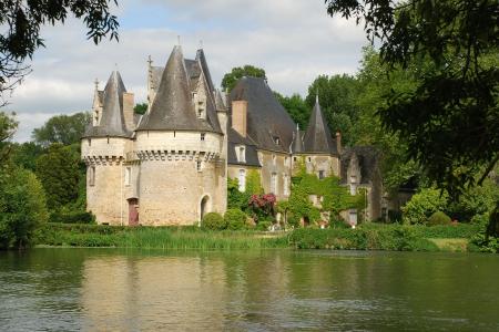 在卢瓦尔河，法国树中的城堡