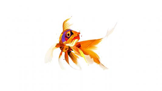 金鱼，3-D图形