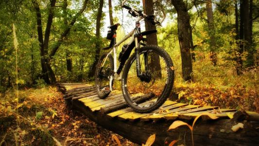 树林里有一辆自行车