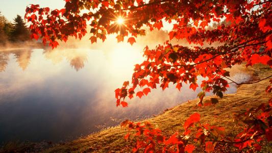 秋天的早晨在湖边