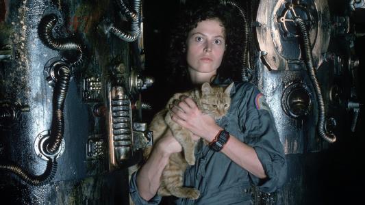 一个女孩怀里抱着一只猫，一部电影“外星人”