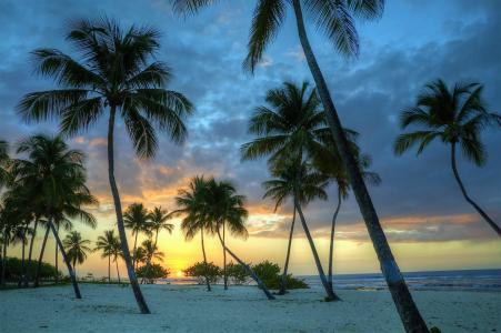 在靠近海洋日落的白色沙滩上的棕榈树