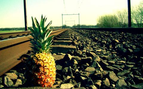 在铁路上的菠萝