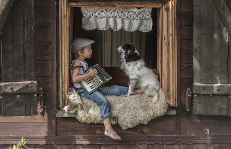 一位手风琴与一只狗坐在窗台上的小男孩