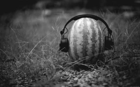 在西瓜，黑白照片上的耳机