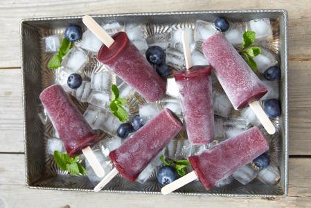 在一个棍子在冰托盘的美味的蓝莓冰淇凌