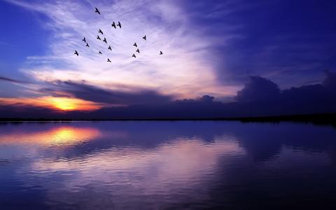 一群鸟飞过湖面