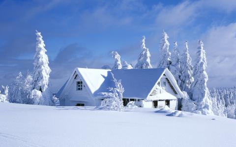 白雪覆盖的房子