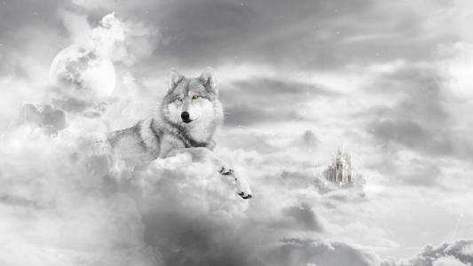 狼在云端