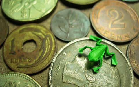 图硬币上的青蛙
