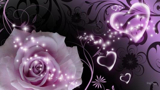 紫玫瑰和心，美丽的图画