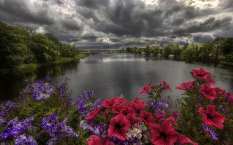 在岸边的花与湖上空的云彩