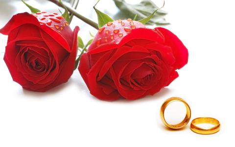 玫瑰和戒指的情人节