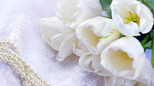 一束嫩白色的郁金香和一串珍珠项链