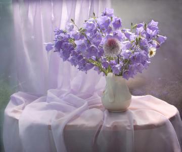 一束紫色的钟声在桌子上的白色花瓶里