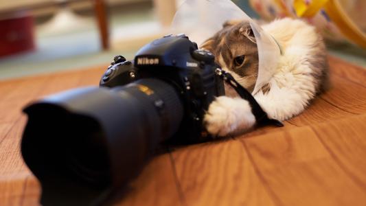 猫玩相机