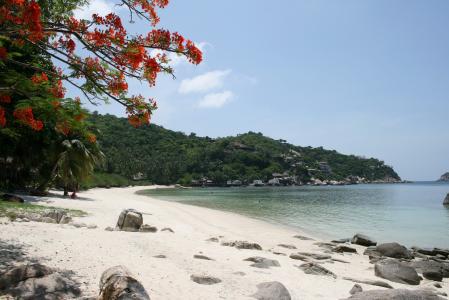 陶，泰国岛上的沙滩