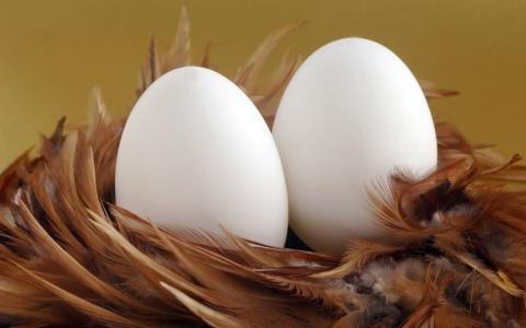 两只鸡蛋在巢里